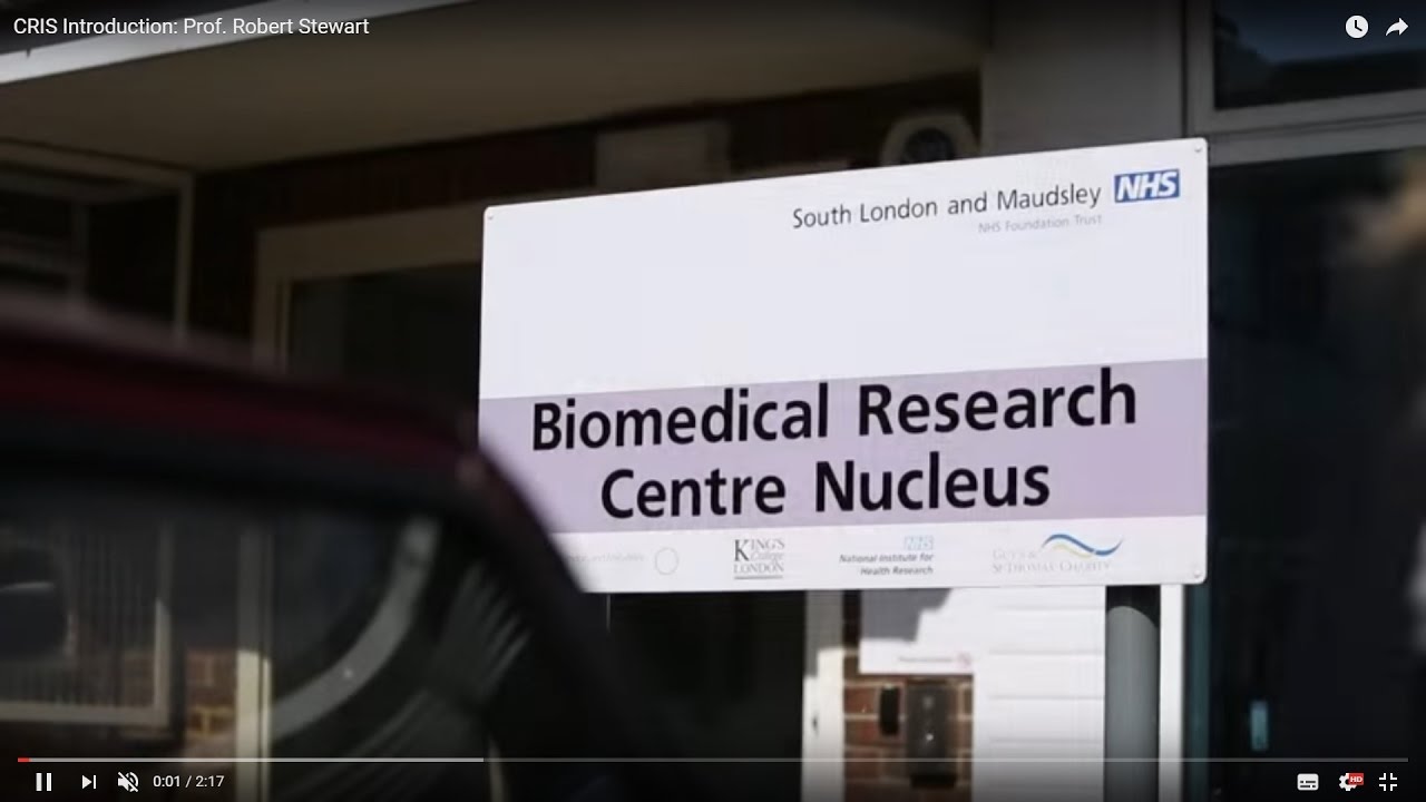 CRIS Introduction:  Professor Robert Stewart
