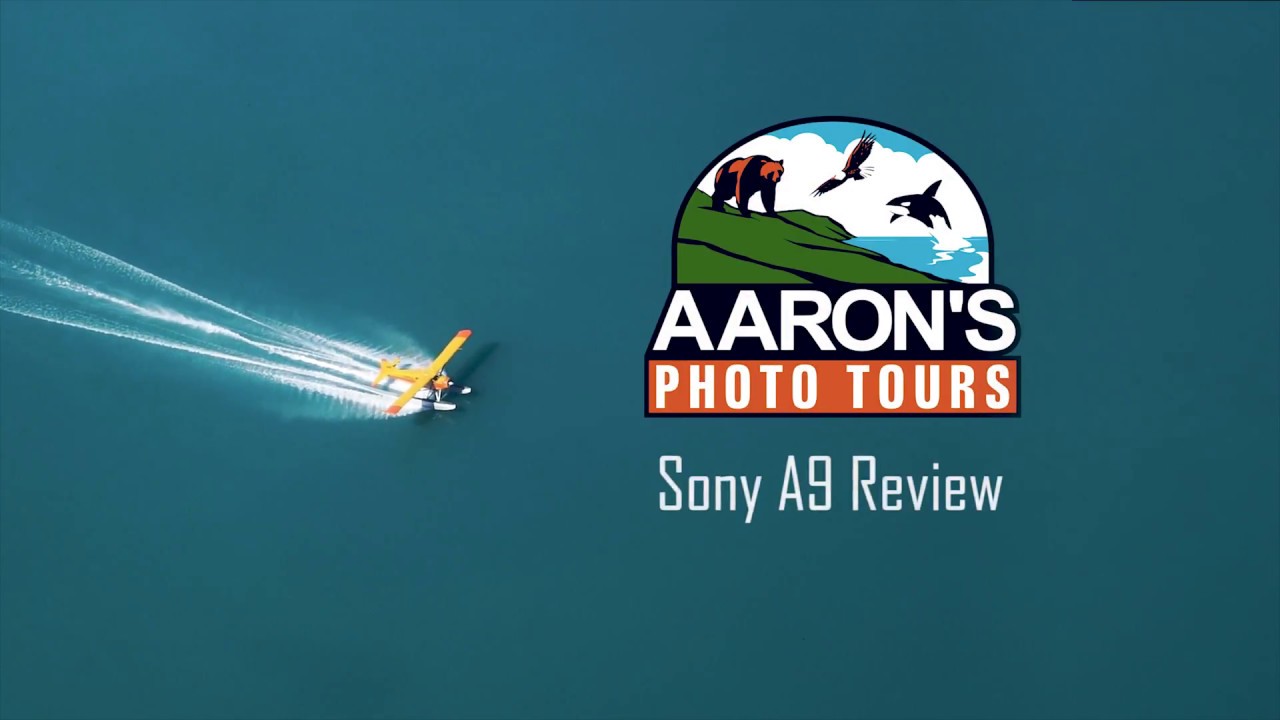 Sony a9 Wildlife Photography Review - Shot in Alaska