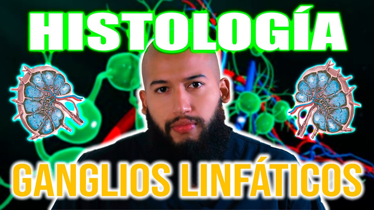 GANGLIOS LINFÁTICOS: ¿Qué son y por qué son importantes?