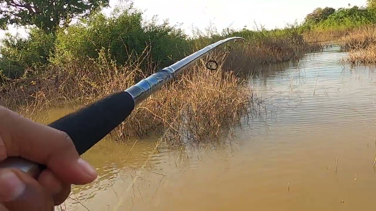 Fishing In The Big Lake EP 12| Cambodia Fishing Zone On The Big Tonle Sap Lake| Cambodia Fishing.