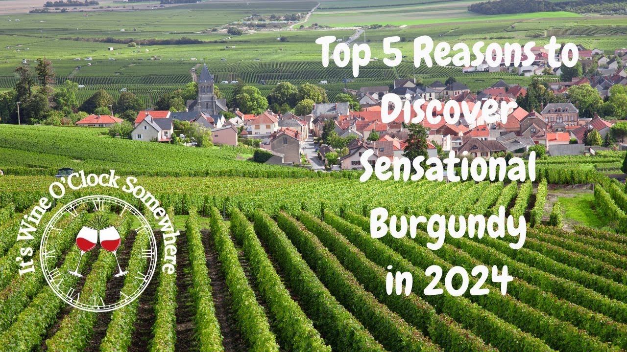 Top 5 Reasons to Discover Sensational Burgundy in 2024
