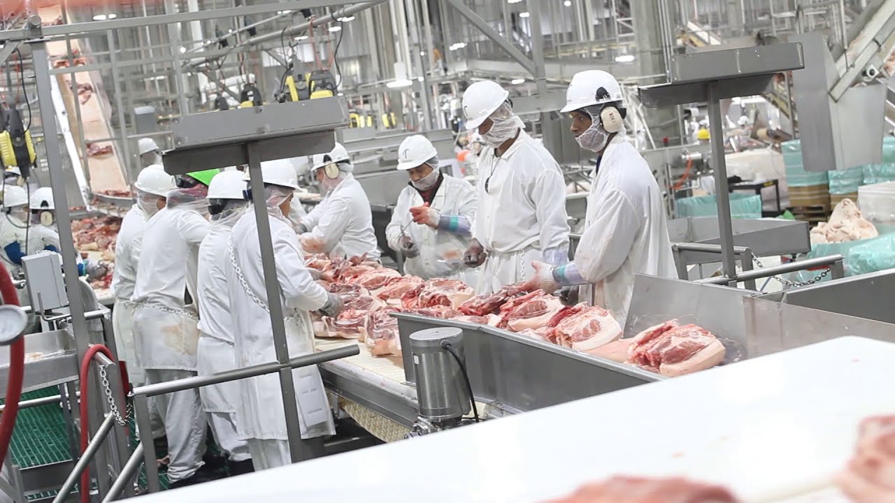 From Farm to Fork: Primary Processing