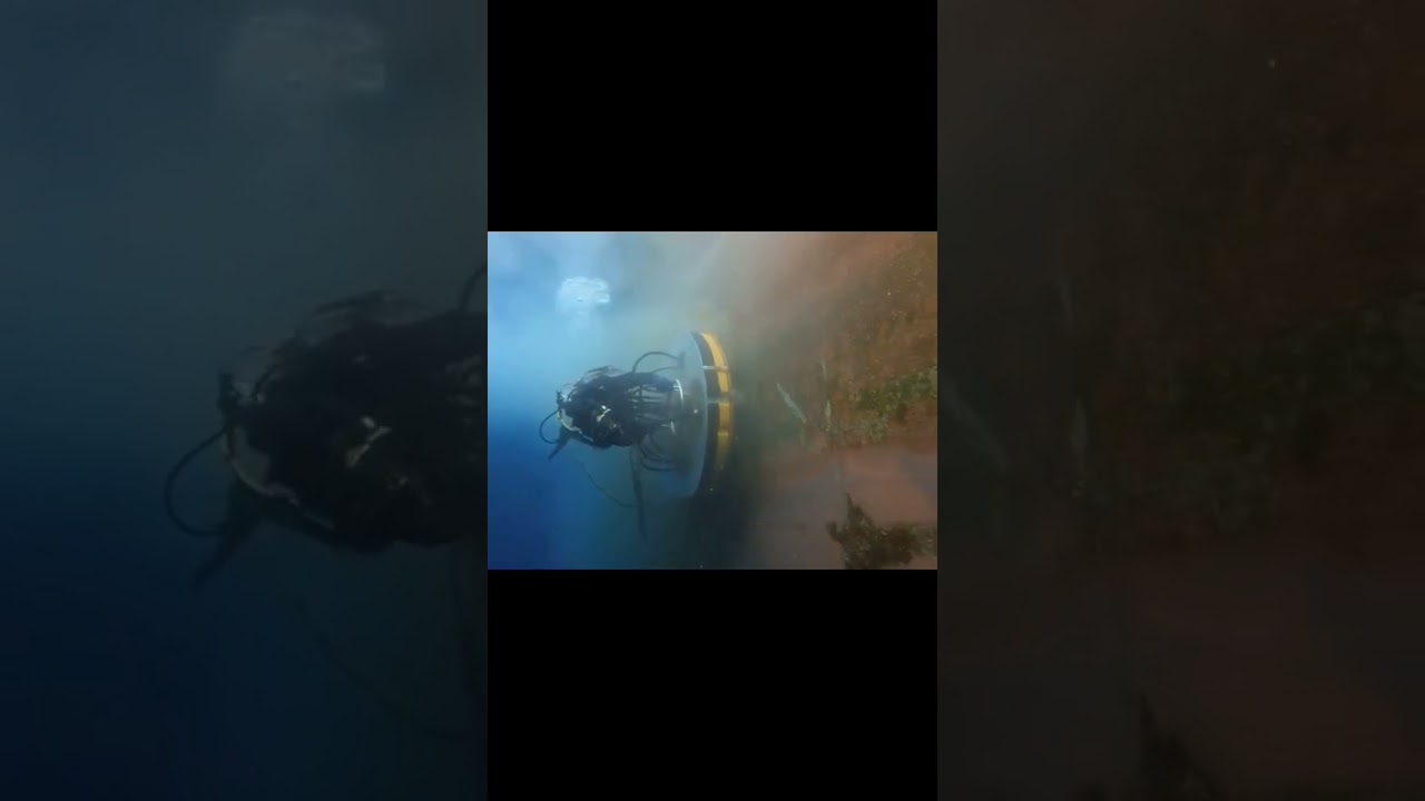 Hull Cleaning & Propeller Polishing #underwater_life01