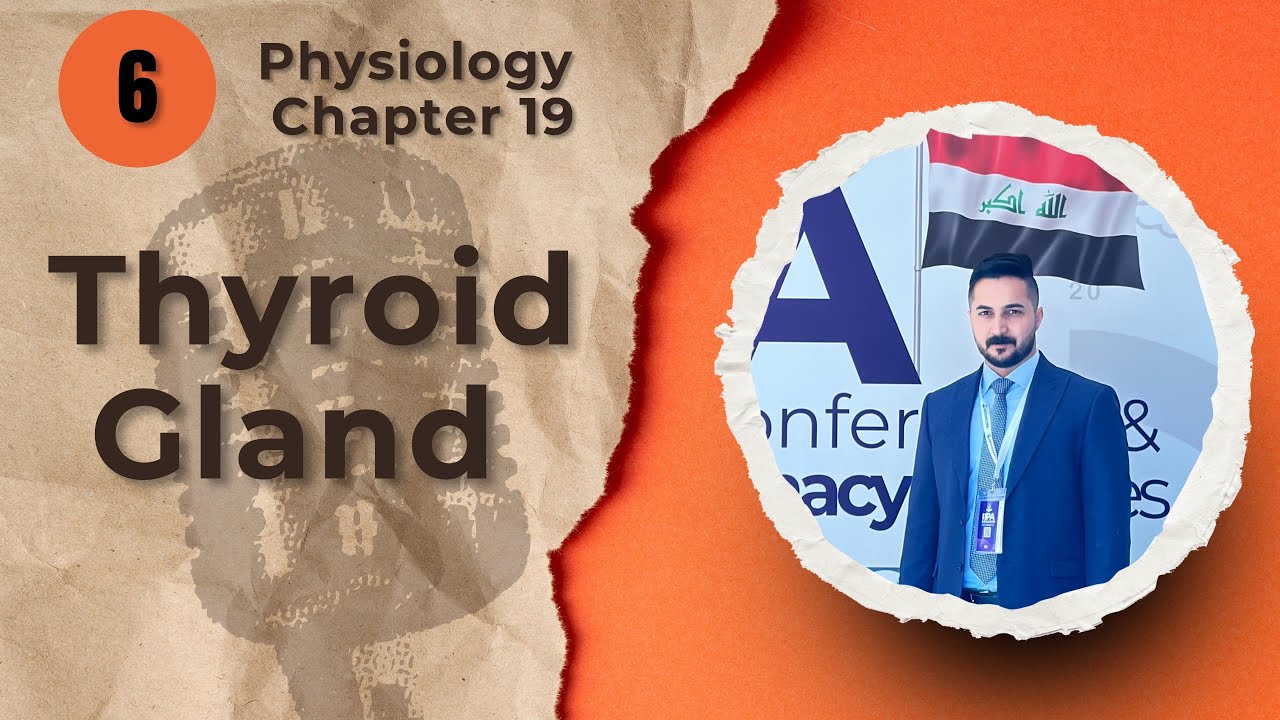 6. Thyroid Gland Chapter 19 (فسلجة وزاري)