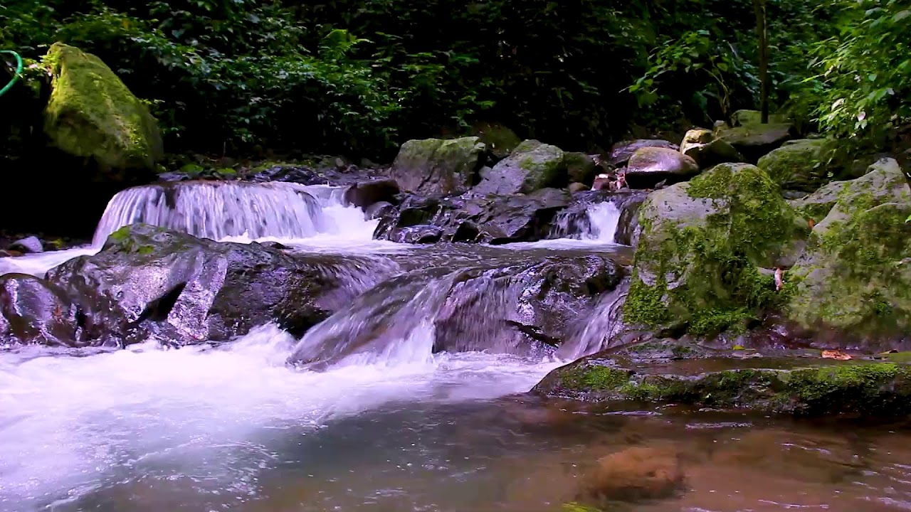 Gentle Mountain River Flow Sounds to Calm the Mind and Reduce Daily Stress