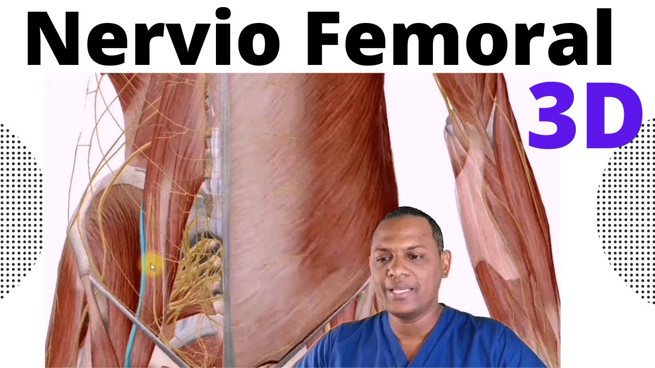 Anatomía del Nervio Femoral 2020