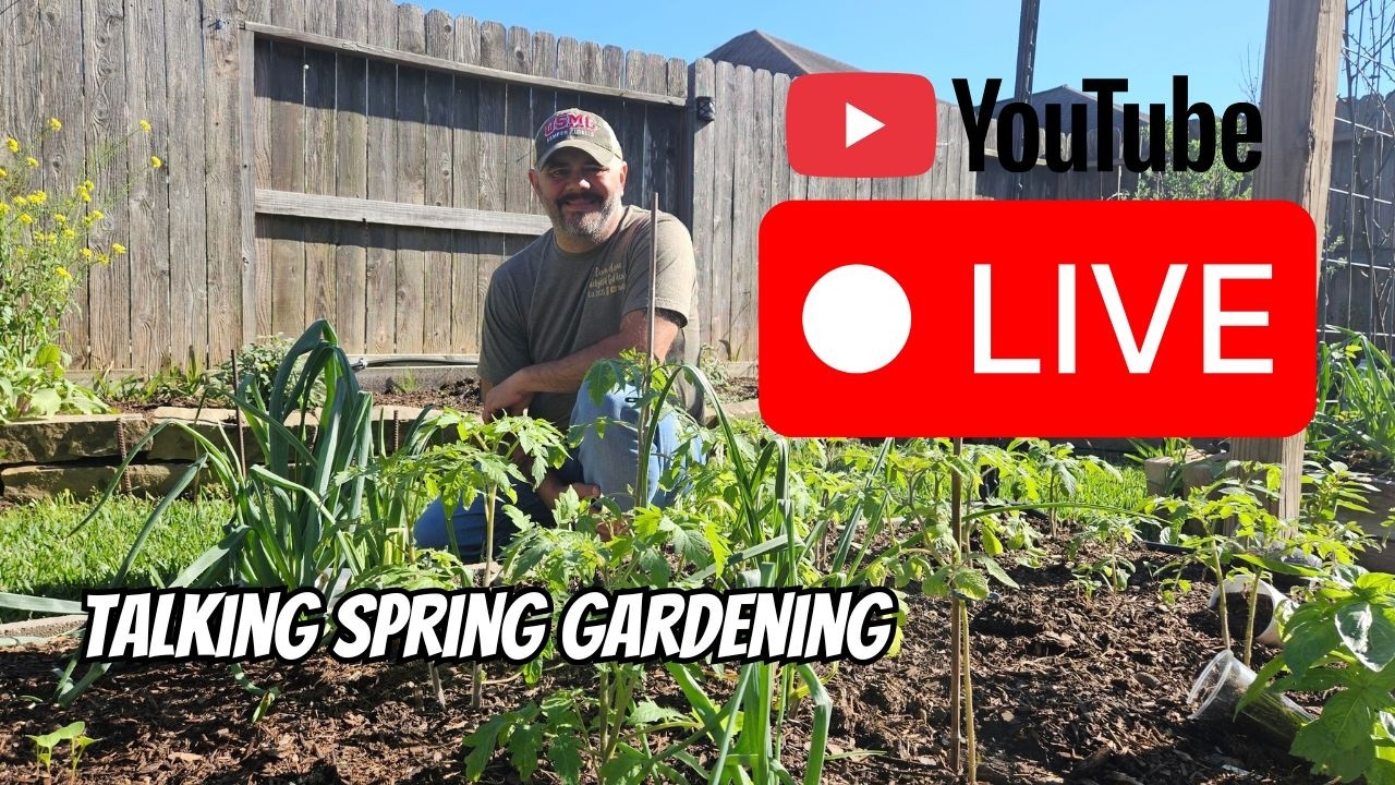 🌱 Spring Gardens Are Waking Up! LIVE Garden Chat