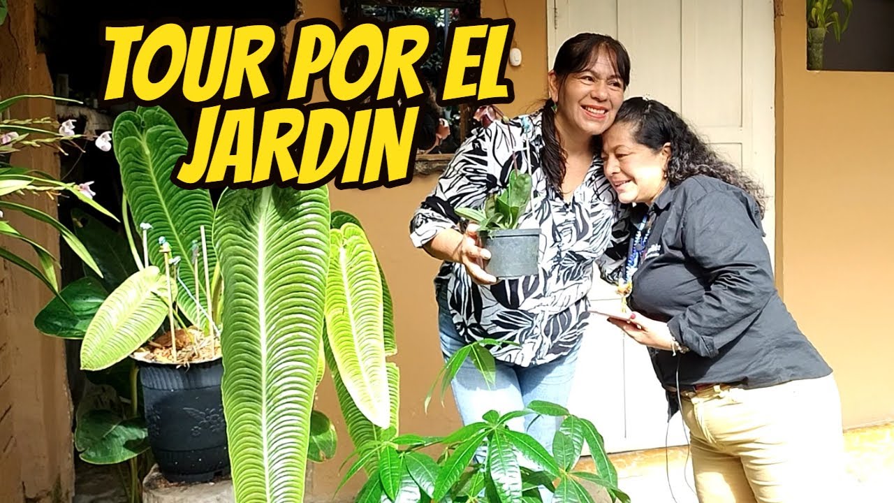 Doña socorro nos muestra su BELLO JARDÍN| El secreto para tener un hermoso jardín.