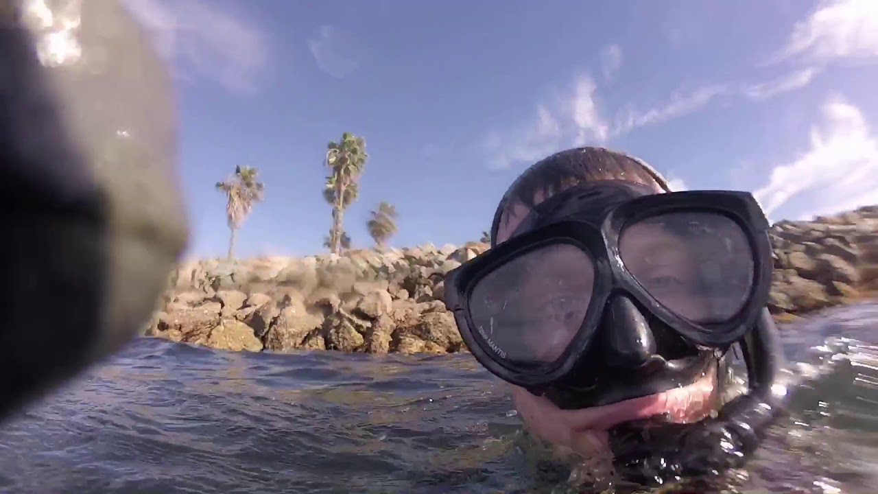 Spear fishing San Diego jetty’s