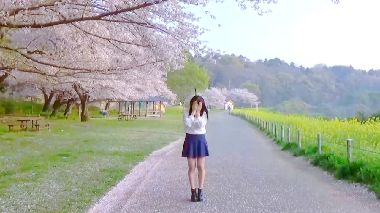 【Fuwa】ハイドアンド・シーク 踊ってみた【遅めの桜🌸】