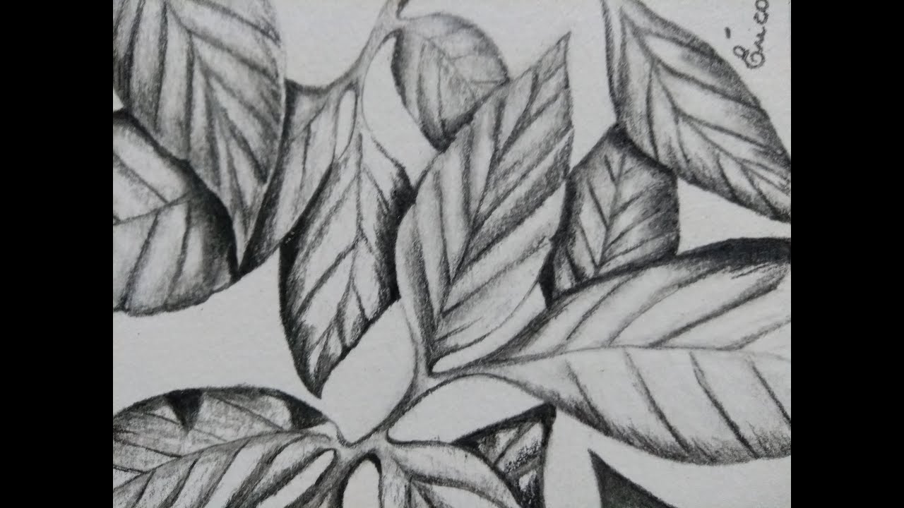 Ensinando luz-sombra e como tirar o desenho no papel vegetal
