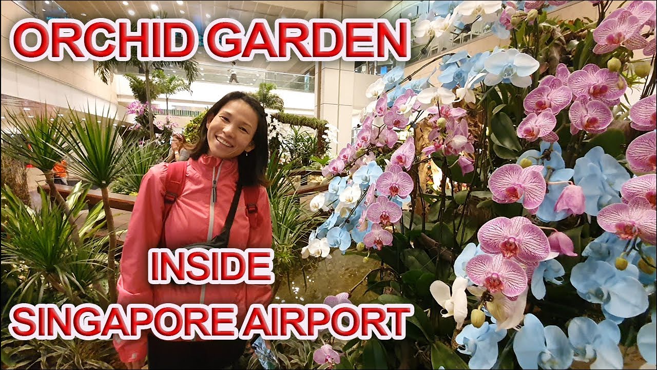 Singapore Changi Airport - Orchid garden in 4k