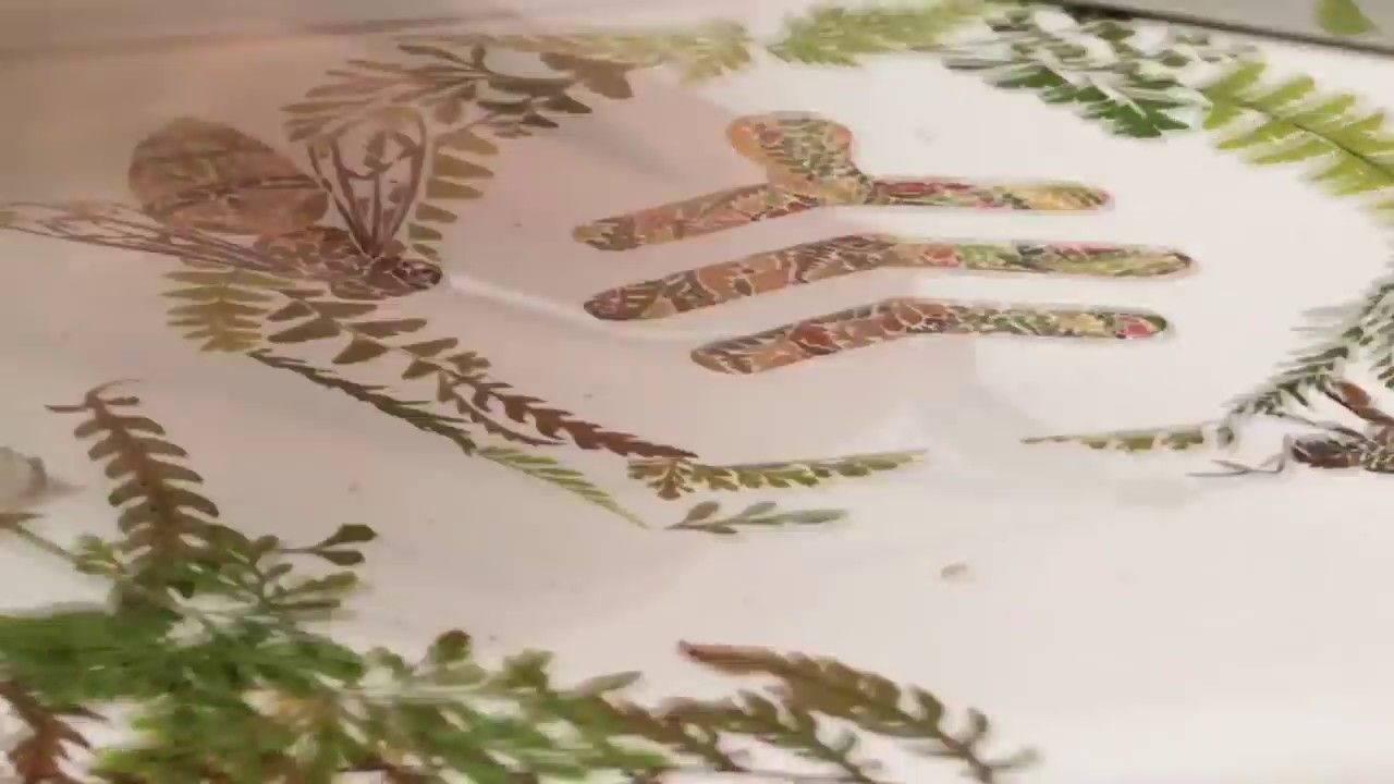 Flow™ Illustration with pressed fern - Speed Art Timelapse by Helen Ahpornsiri - Bee hive