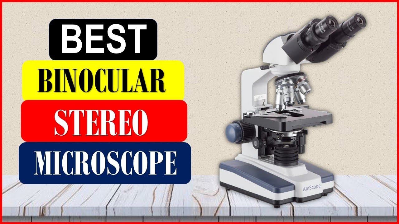 Top 5 Best Binocular Stereo Microscope in 2025 From AliExpress