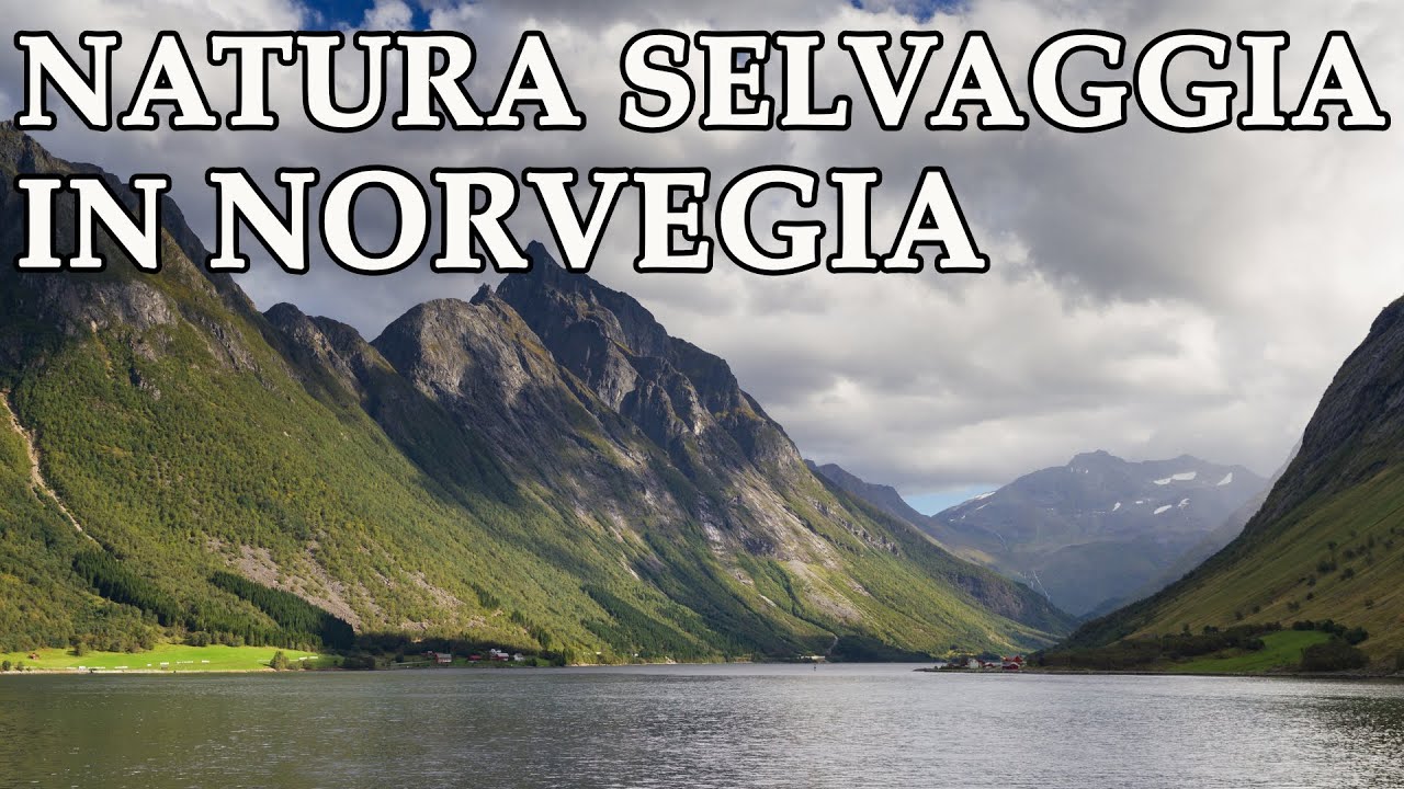 NORVEGIA selvaggia: fiordi, ghiacciai e isole remote