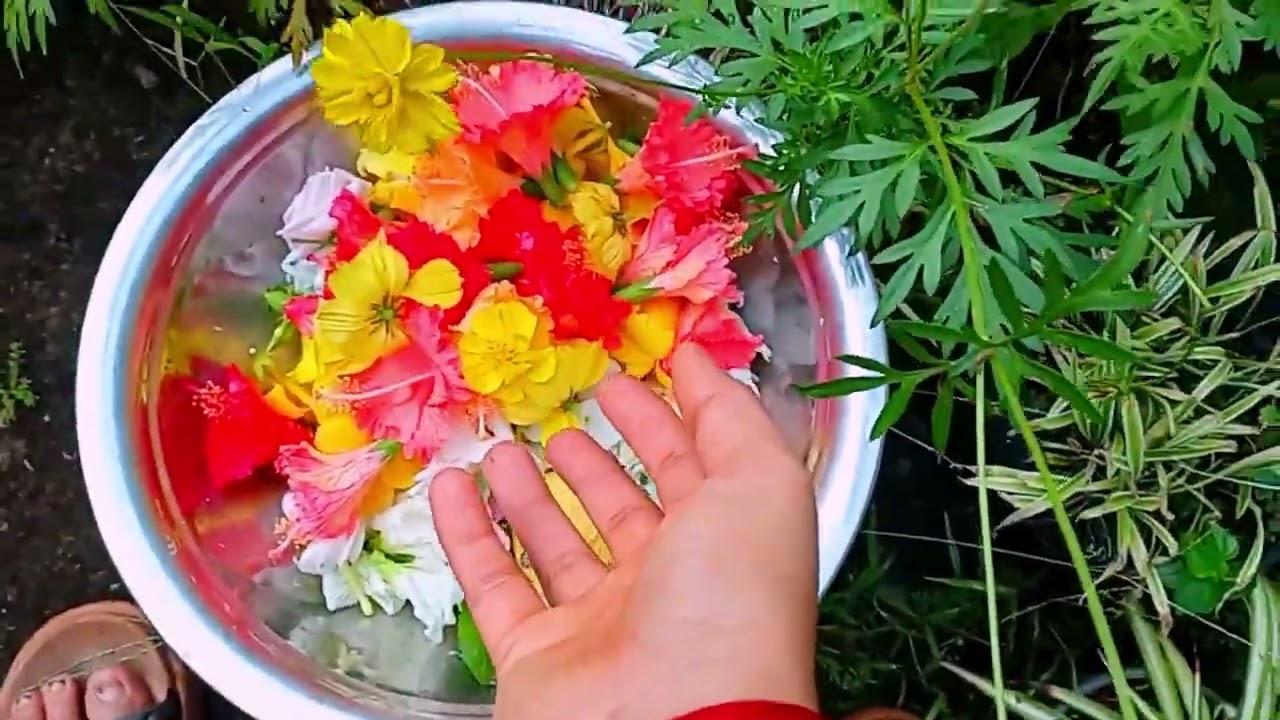  Blessings on Sankashti Chaturthi  A New Journey  My first vlog 😘#shorts #my1stvlog 