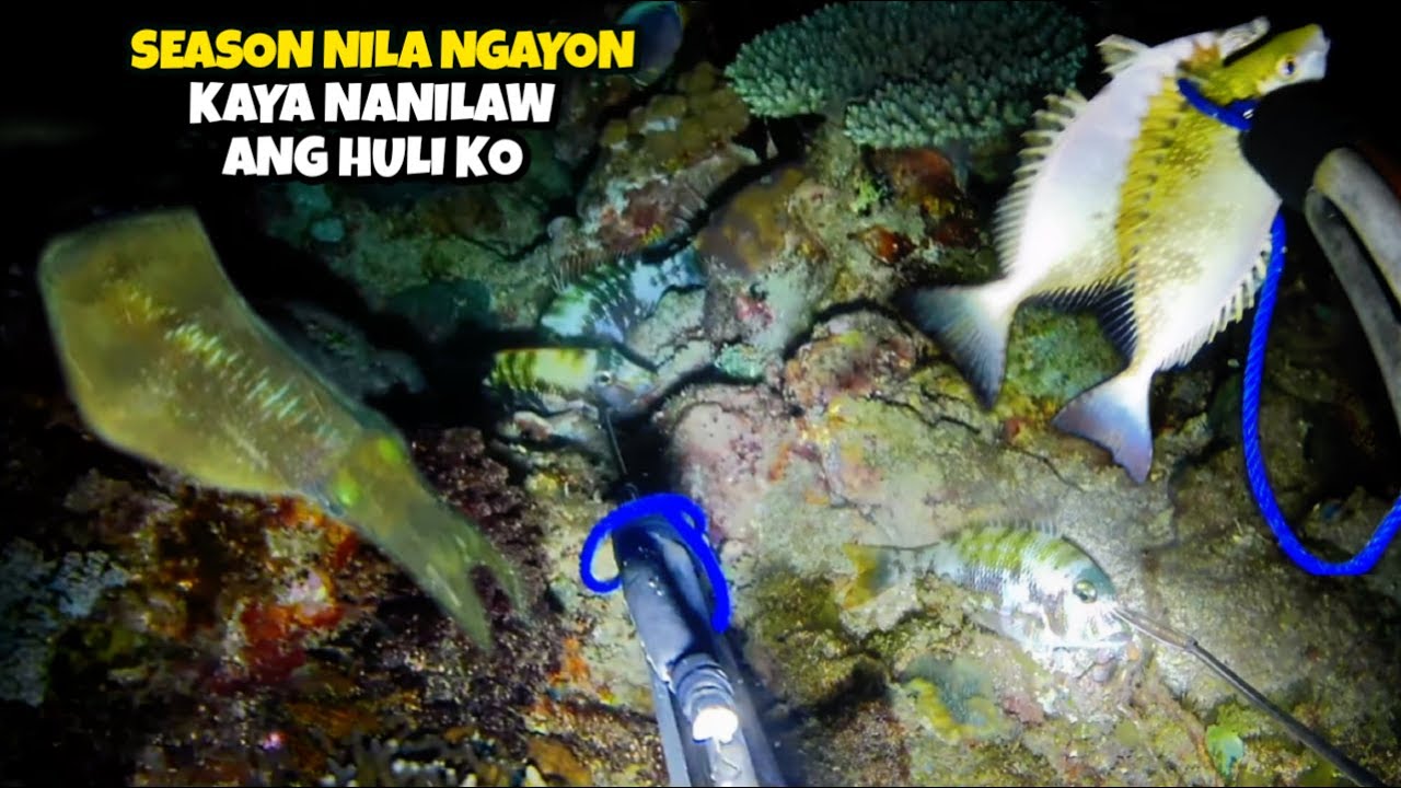 EP 425: SEASON NILA NGAYON KAYA NANILAW ANG HULI KO MATATABANG ISDA ANG NAG LABASAN