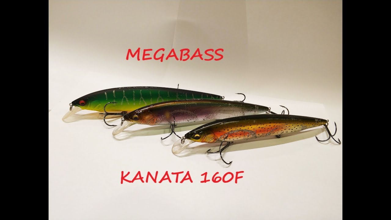Загляни в мою коробку! Megabass KANATA 160F