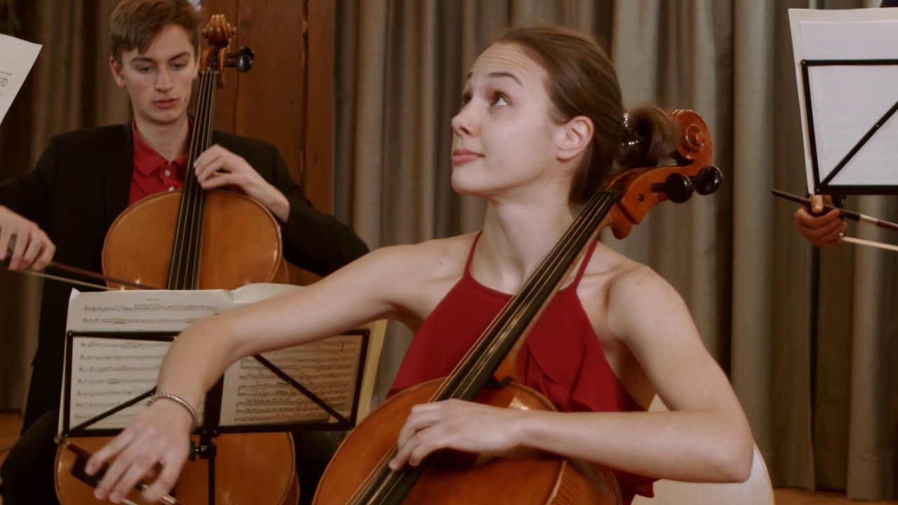 Haydn: Cellokonzert Nr. 2, 1. Satz I inn.wien ensemble