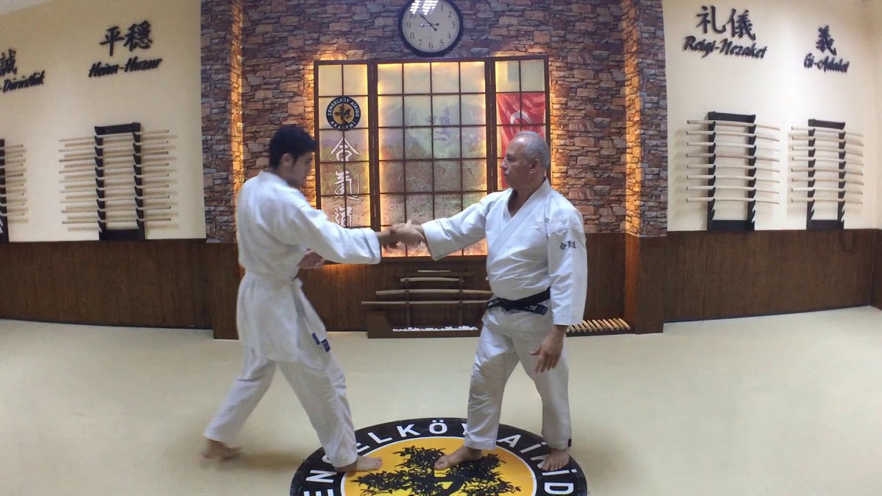 Kaeshi Waza, Ai Hanmi Shihonage & Kiriotoshi | Yetişkin Aikido | Gen&ccedil; Aikido |