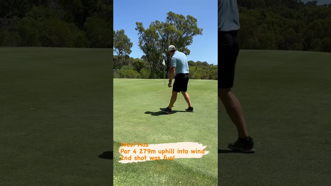 2nd shot was fun ⛳️ #golf #golfswing #haveago #golfing #art #australia #backyard #travel #shorts