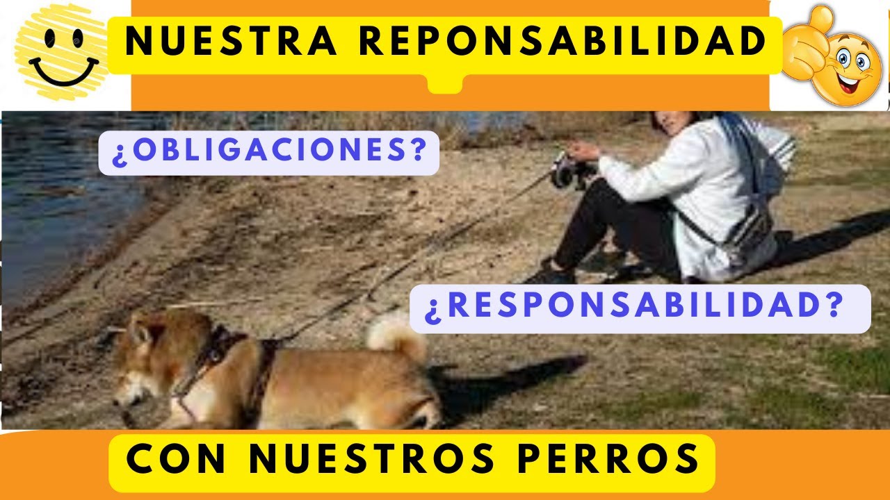 &iquest;Cual es la responsabilidad del Due&ntilde;o con su perro?