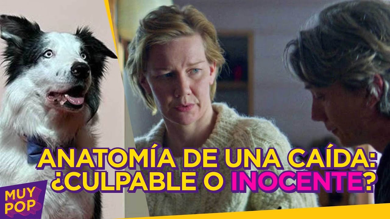 'Anatomía de una caída': ¿Sandra era culpable o inocente en realidad? La directora habló al respecto