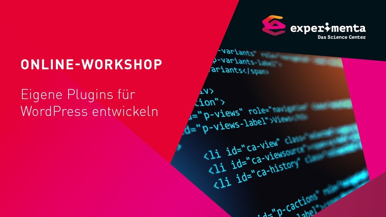 Online-Workshop | Eigene Plugins für WordPress entwickeln