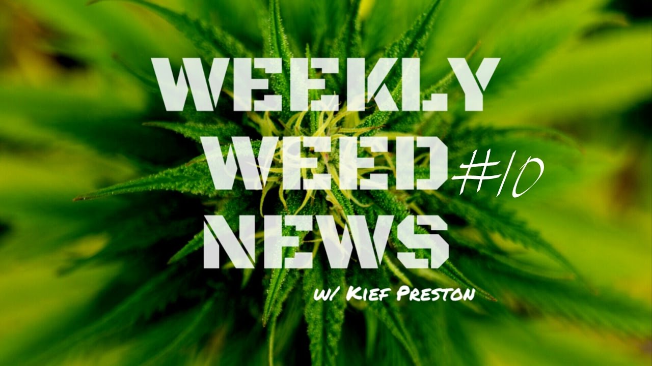 Weekly Weed News w/ Kief Preston - Episode 10 -