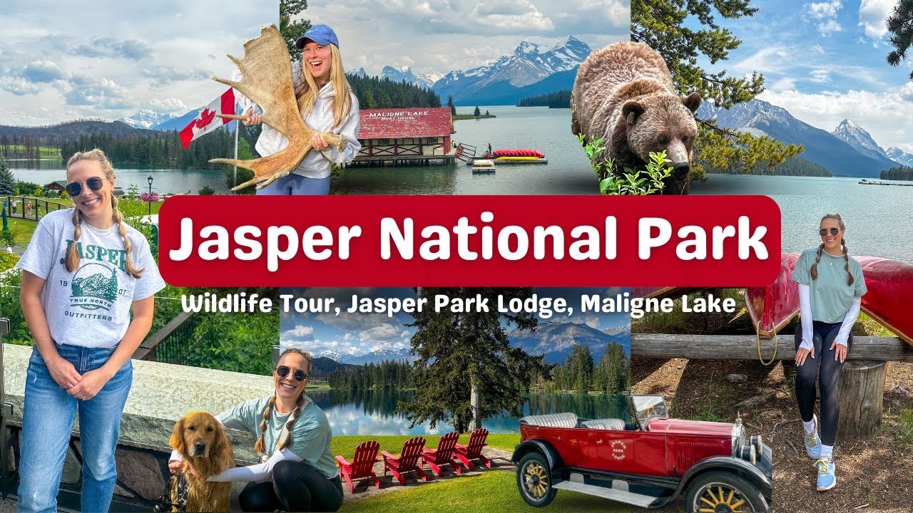 JASPER NATIONAL PARK VLOG 3🛶🐻 Icefields Parkway, Jasper Park Lodge, Wildlife Tour &  Maligne Lake
