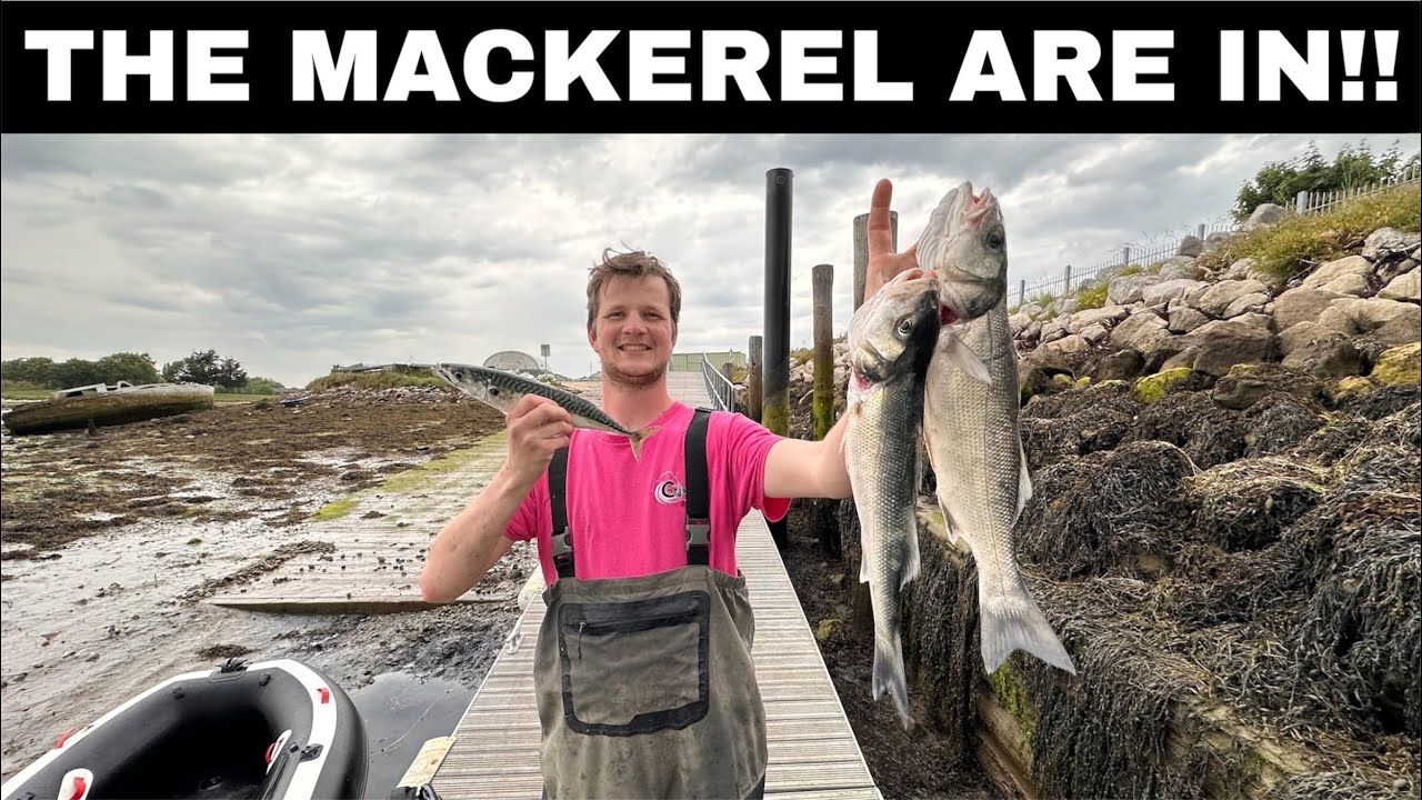 BASS & MACKEREL LURE FISHING | The Solent | Sea Fishing UK | Sib Fishing UK