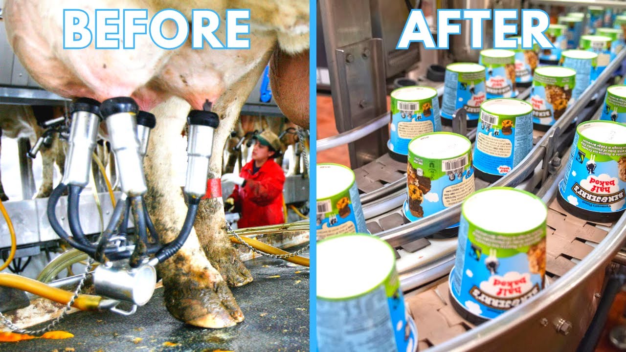 This Is How Ben & Jerry's Ice Cream Is Made, It’s Way Worse Than You Thought!