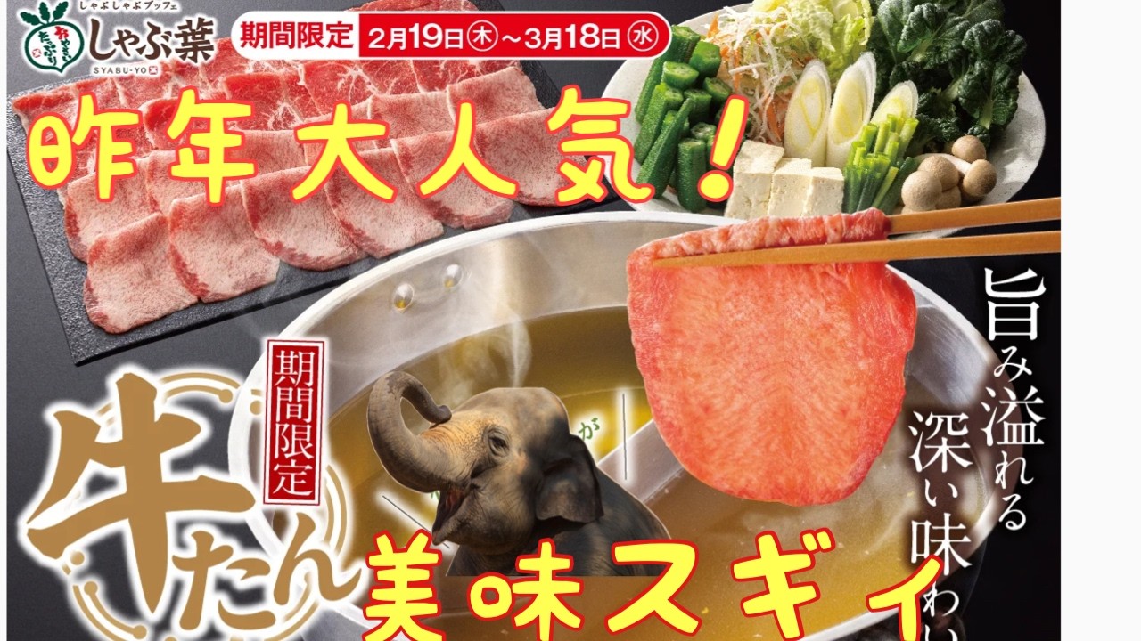 【期間限定 食べ放題】しゃぶ葉で牛たん食べ放題を食べてみた！ All-You-Can-Eat Shabu Shabu at SHABU-YO Japan