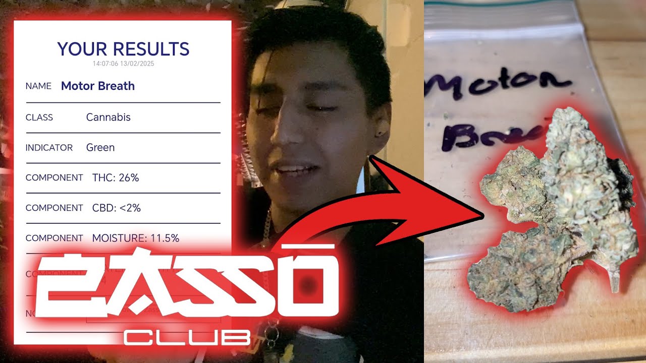 Motor Breath (ES) Zasso Review #133