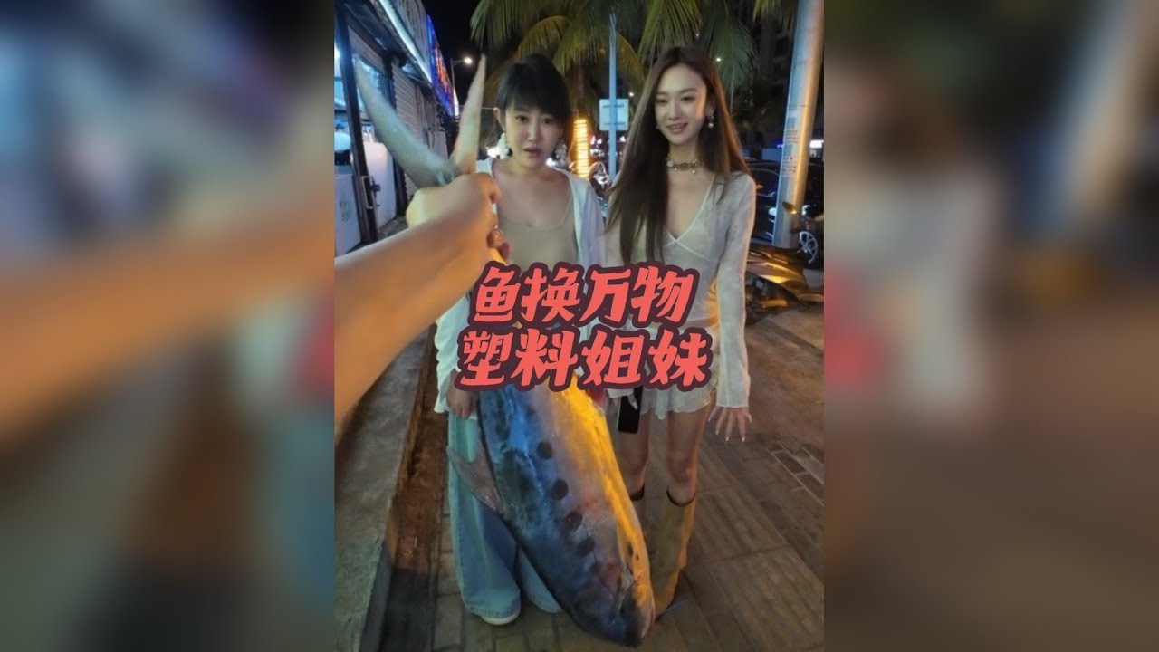 鱼换万物-姐妹反目？这该怎么办