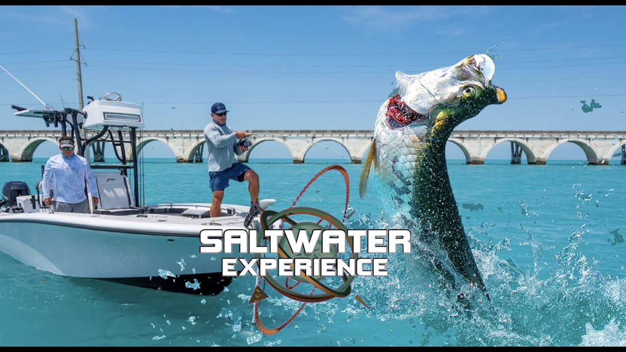 Tarpon Were Busting EVERYWHERE | Saltwater Experience