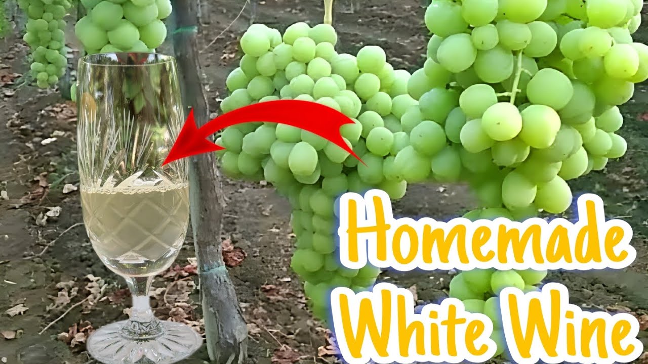 Making White Wine | How To Make Wine At Home
