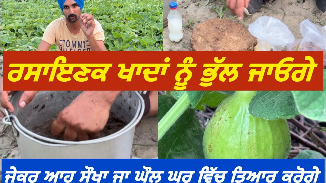 ਸਾਰੀਆਂ ਖਾਦਾਂ ਇੱਕ ਹੀ ਘੋਲ਼ ਵਿੱਚ । ਬਹੁਤ ਹੀ ਸੋਖਾ ਤਰੀਕਾ