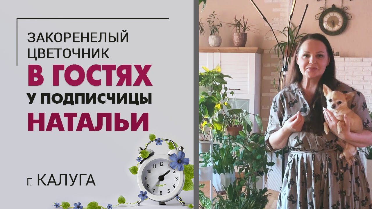 В гостях у подписчицы Натальи. Калуга | Цветы с биографией