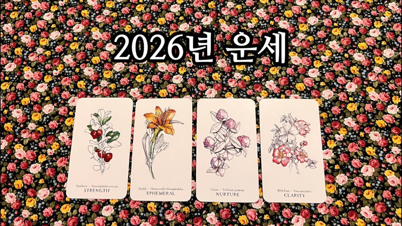 🔥2026년 운세를 정확도 200% 적중률로 먼저 읽어드립니다 미리 운세 보고 가세요 작두탑니다😱🔥