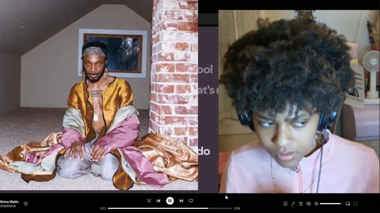 JPEGMAFIA - All My Heroes Are Cornballs Reaction (Full Album)