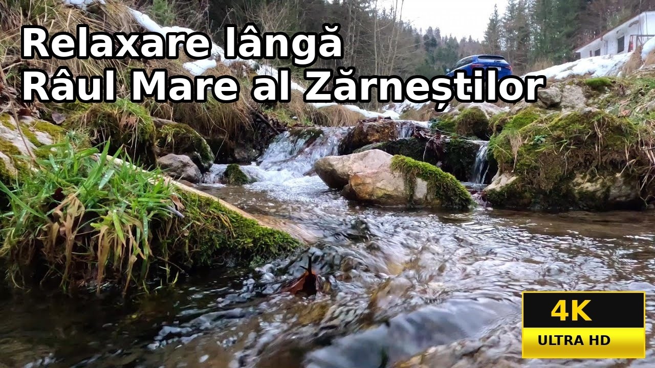 Relaxare lângă Râul Mare al Zărneștilor (Valea Prăpăstiilor)