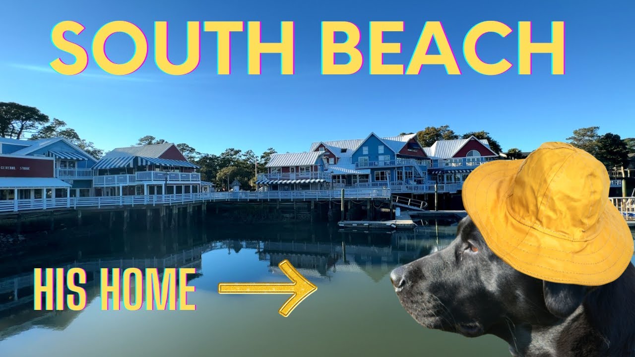 SOUTH BEACH MARINA - Home of the Salty Dog Cafe, Tower  Beach, and magnificent ocean views!!