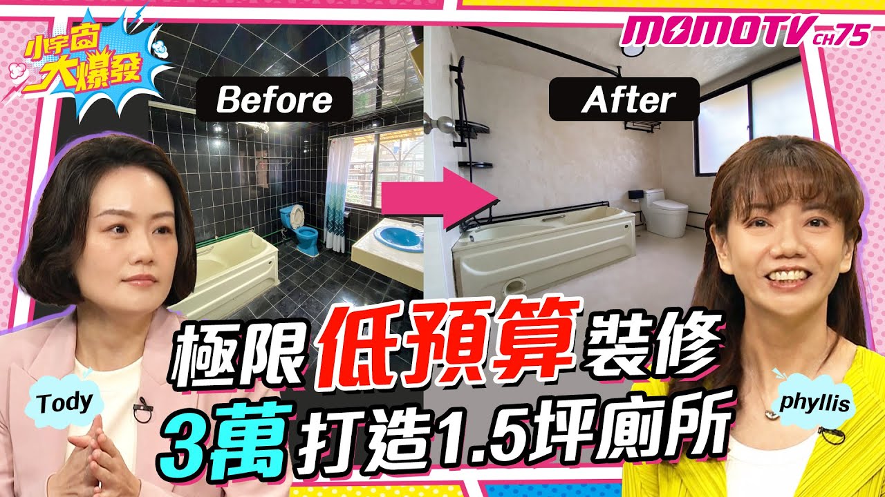 極限低預算裝修 3萬打造1.5坪廁所【小宇宙大爆發】Tody Phyllis #裝修達人 #網美宅