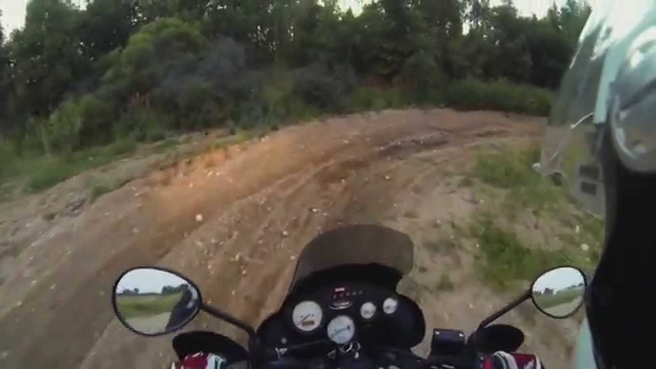 evening with Tiger 955