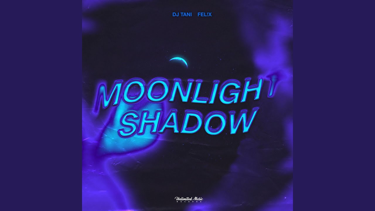 Moonlight Shadow (Techno)