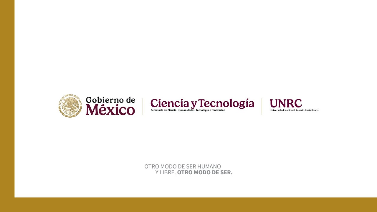 Sesi&oacute;n 2 | Curso de Conceptos Fundamentales de Introducci&oacute;n al Posgrado