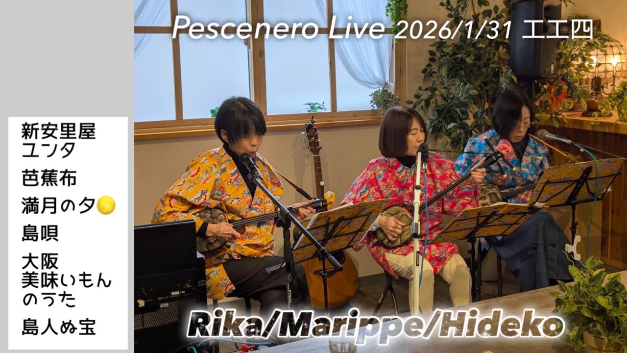 Pescenero Live 三線チーム[工工四]
