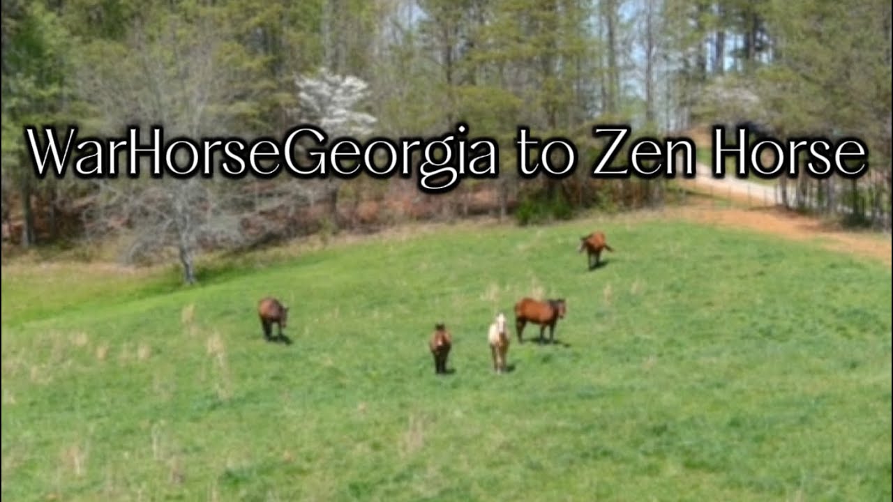This Sacred Land is Calling You Back to Yourself | War Horse to Zen Horse: Real Healing Happens Here