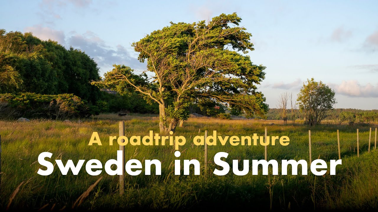 A Roadtrip Adventure in Sweden (Leica M-D, Mamiya RZ67)